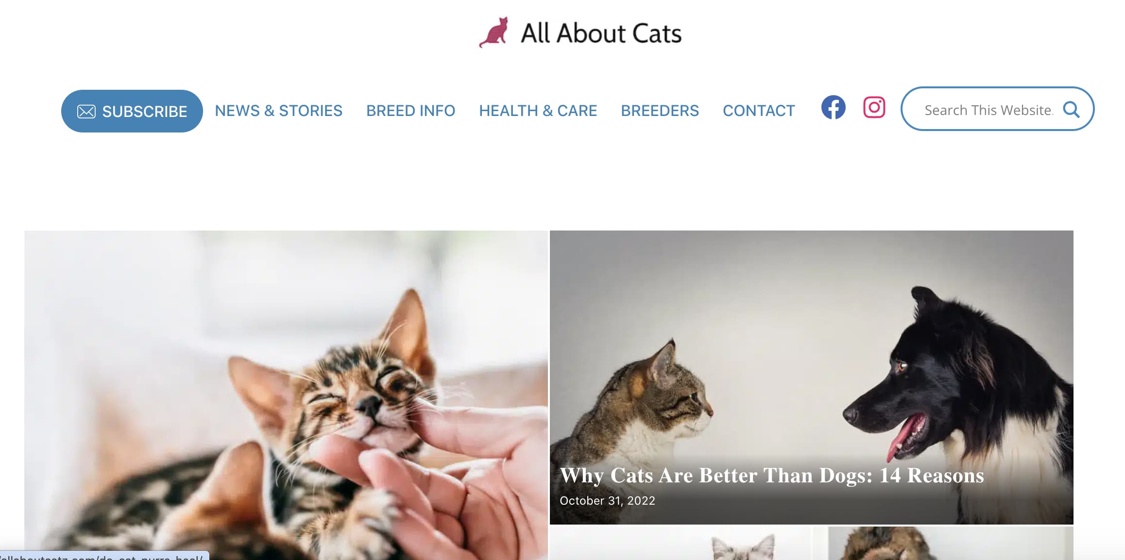 Screenshot of all about cats website